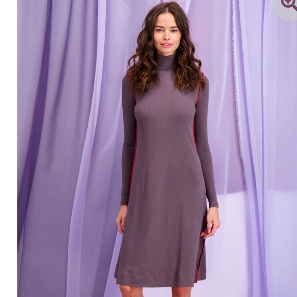 Thin Turtleneck midi dress